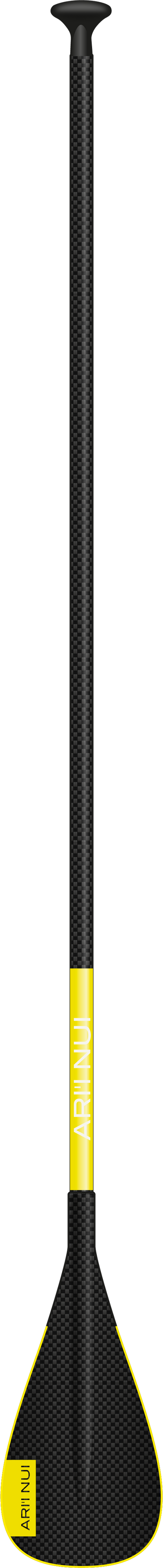 Full Carbon Paddle