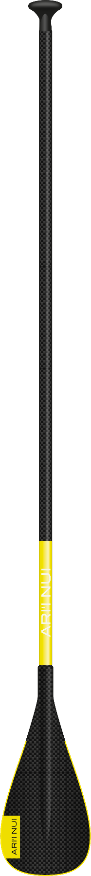 ARI'I NUI Full Carbon Paddle SUP
